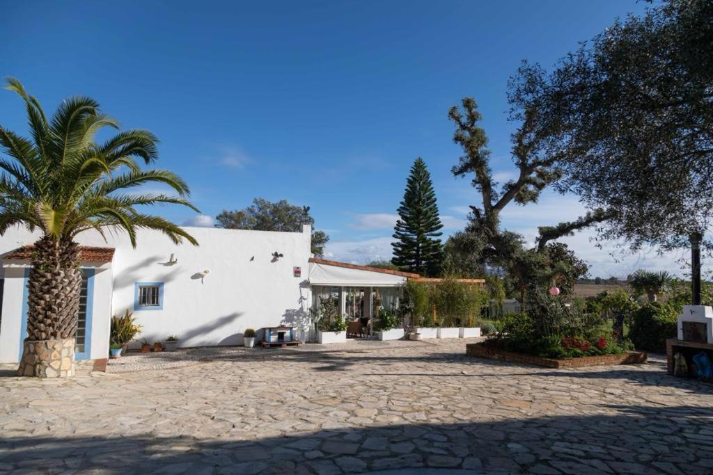Villa Soul Casas Vejer de la Frontera Zimmer foto